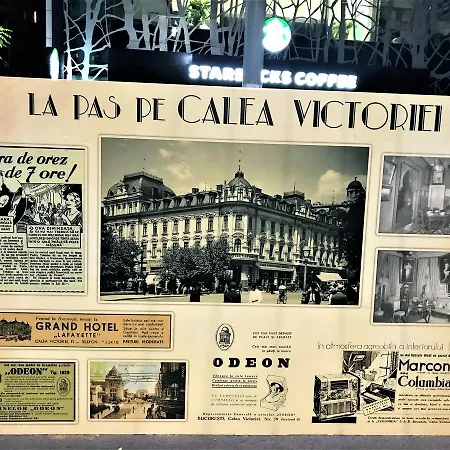 Apartamento Victoriei Wonder Studio *